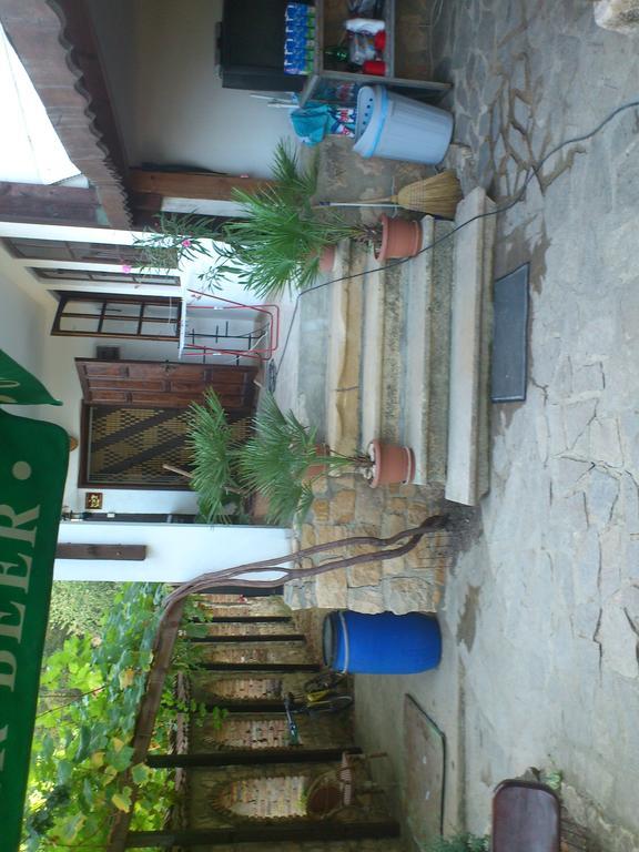 Villa Nasco Golden Sands Bagian luar foto