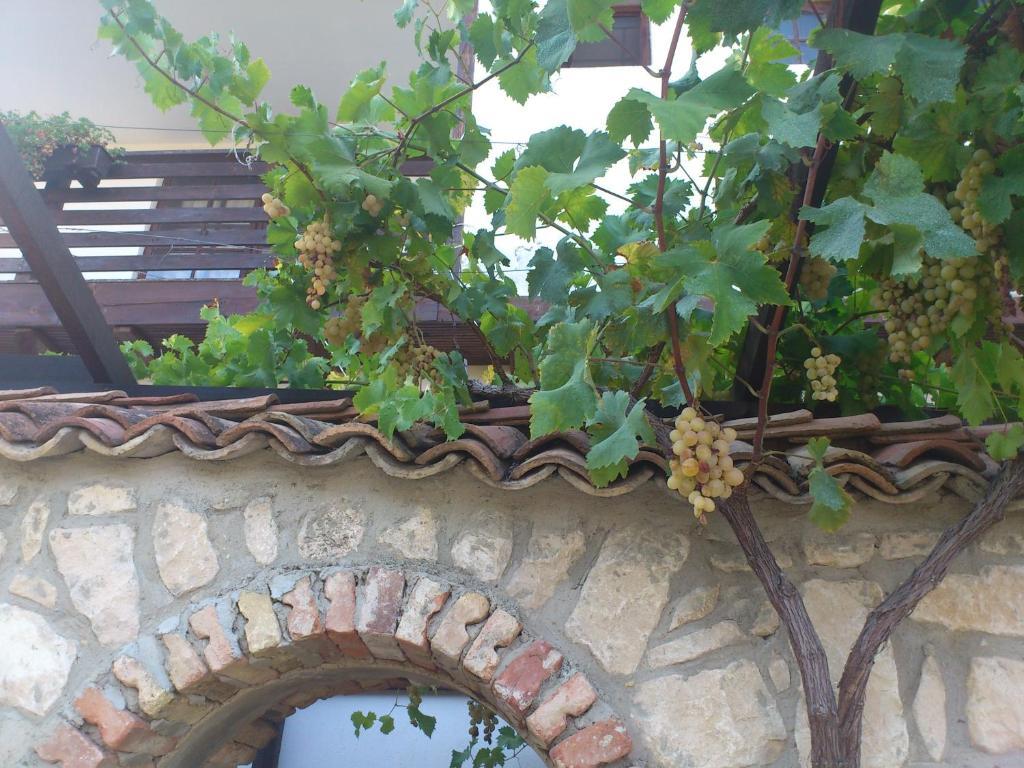Villa Nasco Golden Sands Bagian luar foto